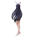 Code Geass B-Style Sakura Haruyanaginomiya Bunny Ver.