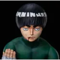 Naruto Rock Lee Sign Studio - Anime Art and Decoration