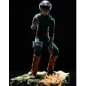 Naruto Rock Lee Sign Studio - Anime Art and Decoration