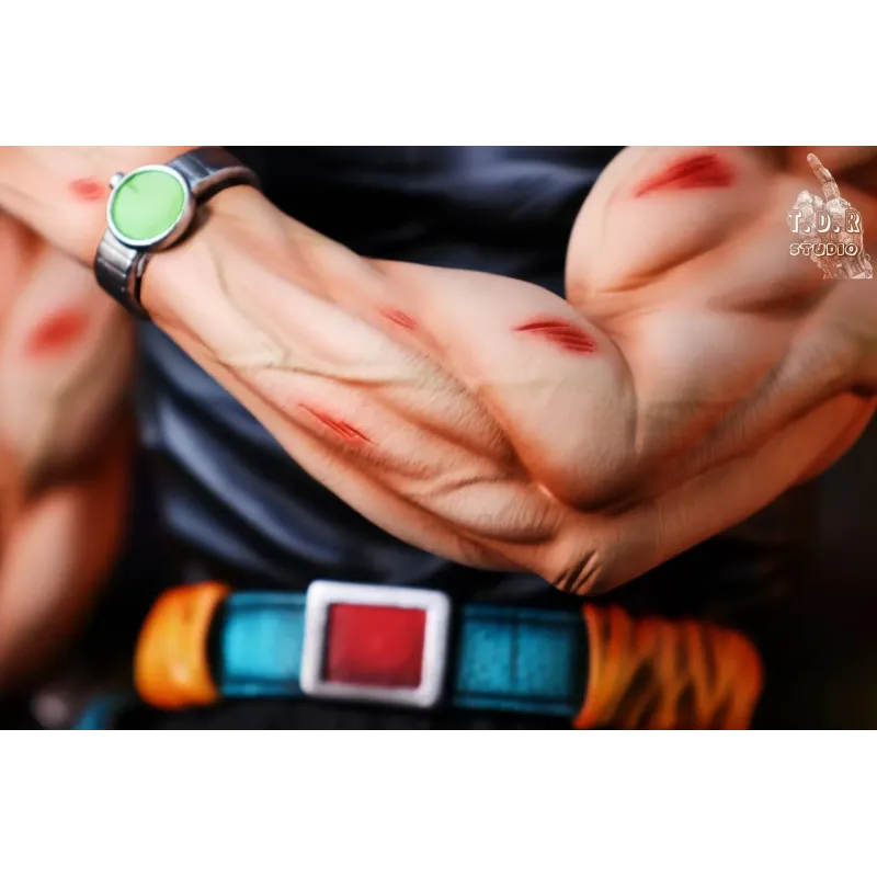 Dragon Ball Future Boy Trunks - T.D.R Studio Collection
