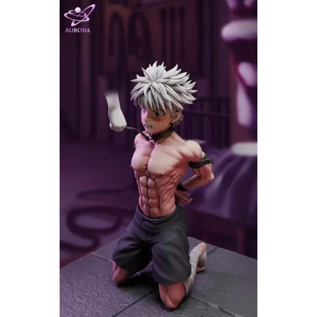 Hunter x Hunter Killua Zoldyck - Aurora Studio Figures