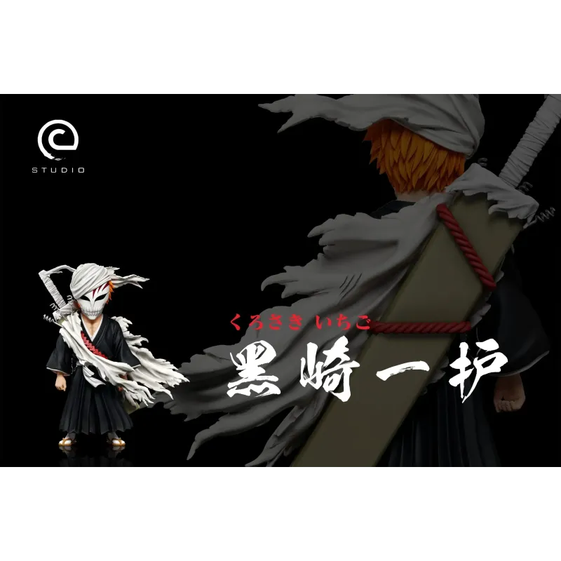 Bleach Training Ichigo WCF C Studio