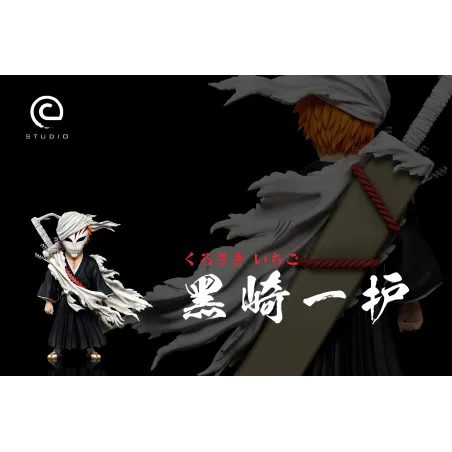 Bleach Training Ichigo WCF C Studio