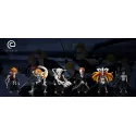Bleach Training Ichigo WCF C Studio