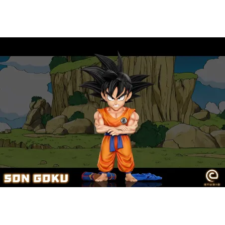 Dragon Ball Z Earth Invasion Son Goku WCF C Studio