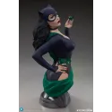 DC Catwoman Bust Tweeterhead