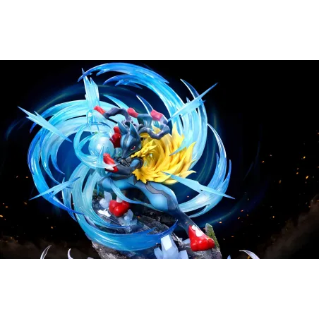 Pokemon Lucario Phoenix Studio