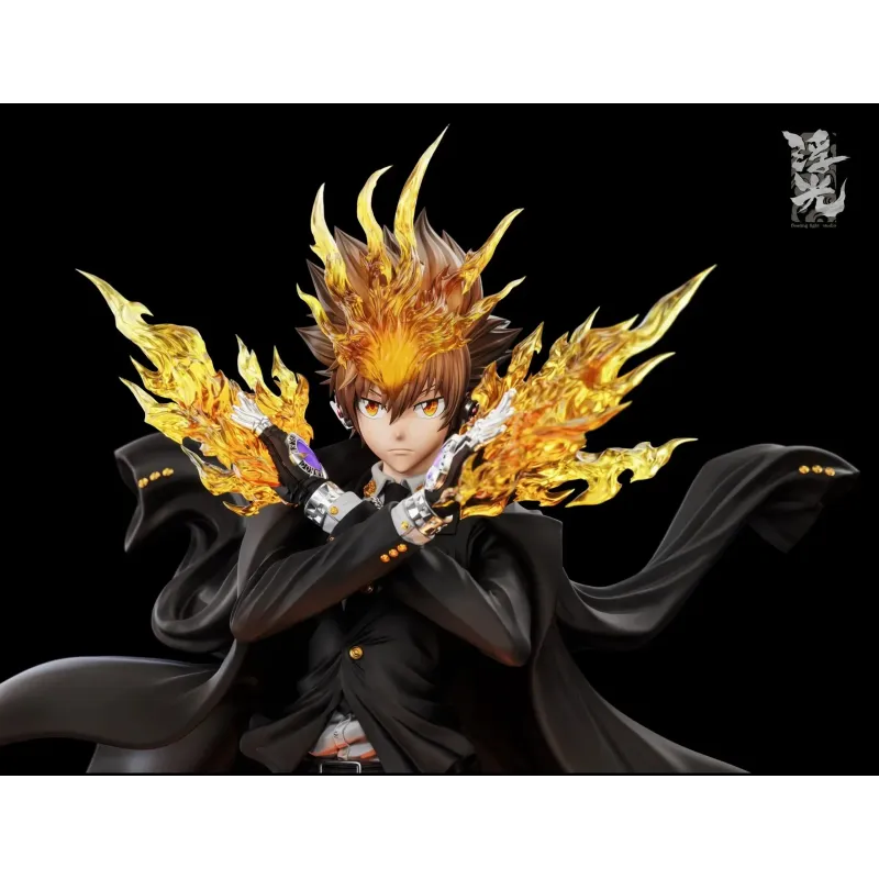 Katekyo Hitman Reborn Tsunayoshi Sawada Floating Light Studio