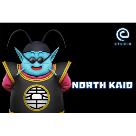 Dragon Ball Z Earth Invasion Arc North Kaio WCF C Studio