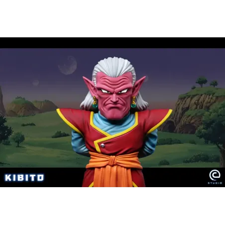 Dragon Ball Z Kibito WCF C Studio