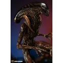 Alien Dog Alien 3109 Studio