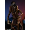 Alien Dog Alien 3109 Studio