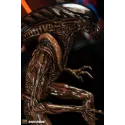 Alien Dog Alien 3109 Studio