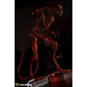 Alien Dog Alien 3109 Studio