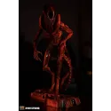 Alien Dog Alien 3109 Studio