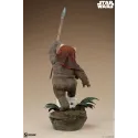 Star Wars Wicket Sideshow