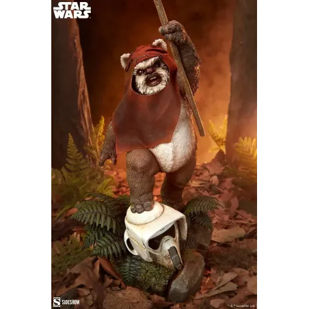 Star Wars Wicket Sideshow