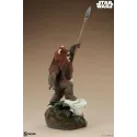 Star Wars Wicket Sideshow
