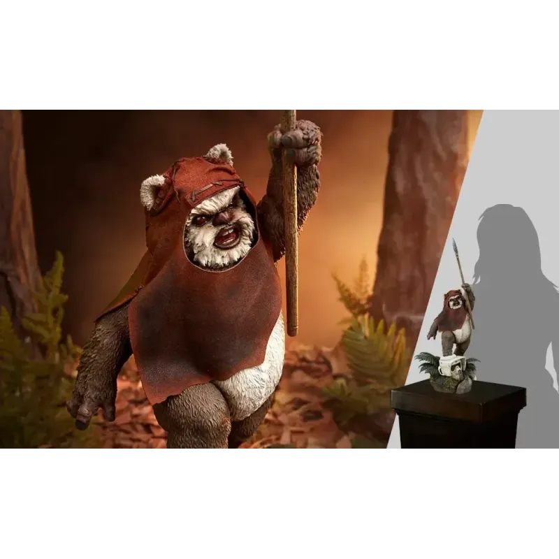 Star Wars Wicket Sideshow