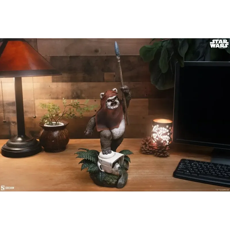 Star Wars Wicket Sideshow