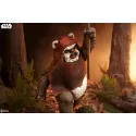 Star Wars Wicket Sideshow