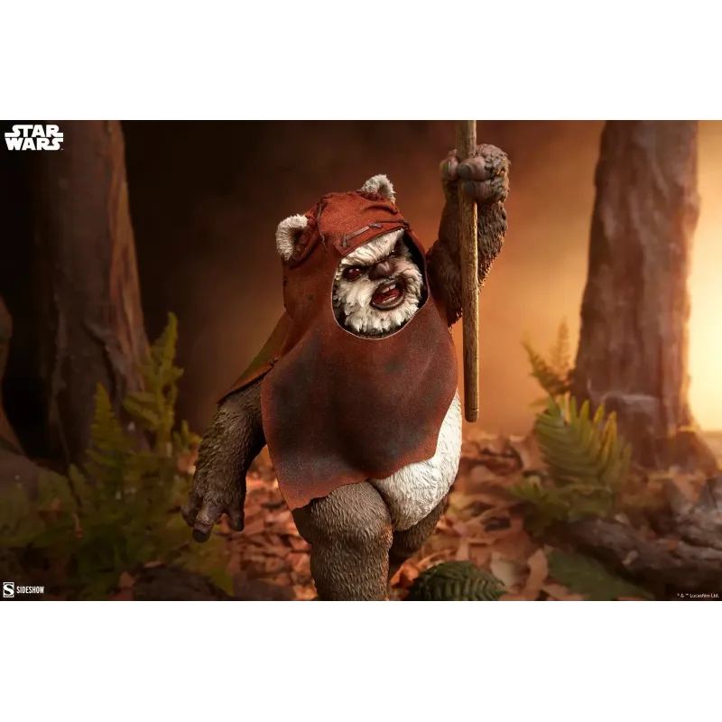 Star Wars Wicket Sideshow
