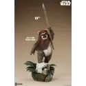 Star Wars Wicket Sideshow
