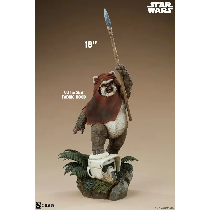 Star Wars Wicket Sideshow