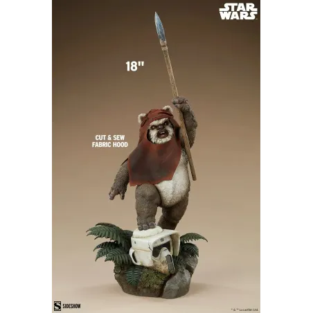 Star Wars Wicket Sideshow