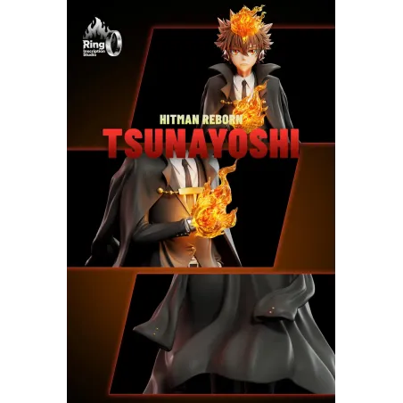 Katekyo Hitman Reborn Tsunayoshi Sawada Ring inscription Studio