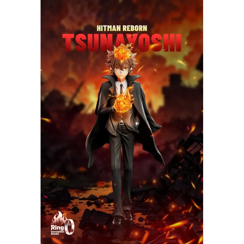 Katekyo Hitman Reborn Tsunayoshi Sawada Ring inscription Studio
