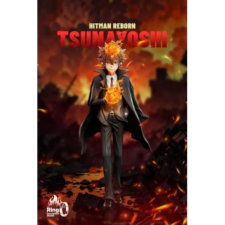 Katekyo Hitman Reborn Tsunayoshi Sawada Ring inscription Studio