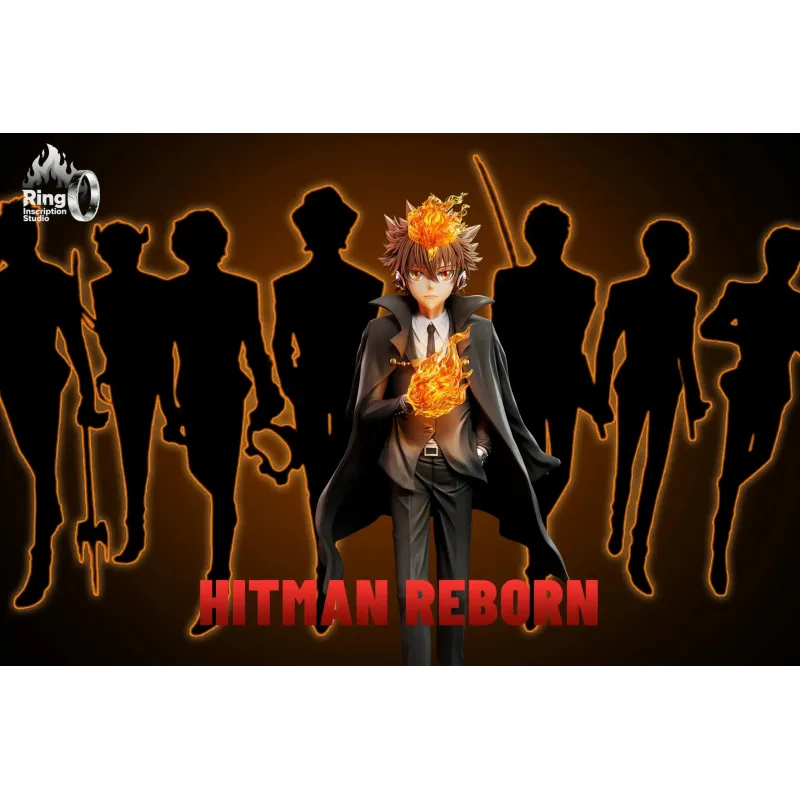 Katekyo Hitman Reborn Tsunayoshi Sawada Ring inscription Studio