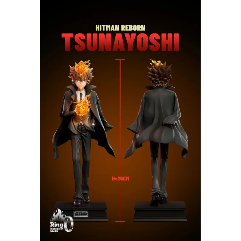 Katekyo Hitman Reborn Tsunayoshi Sawada Ring inscription Studio