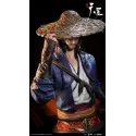 Drawing Jianghu: The Degenerate Yuan Tiangang Bust Longli Culture