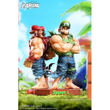 Super Mario Mario & Luigi Panshi Studio