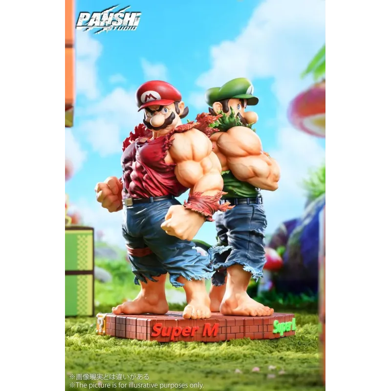 Super Mario Mario & Luigi Panshi Studio
