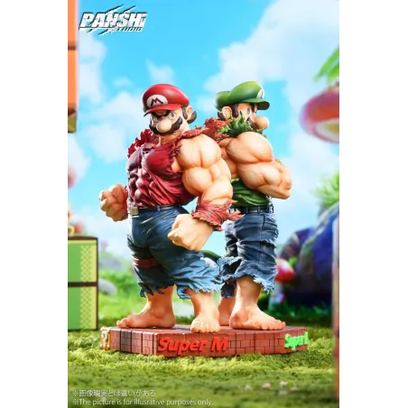 Super Mario Mario & Luigi Panshi Studio