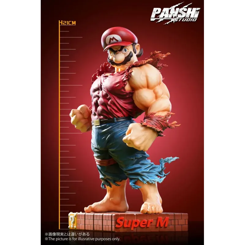 Super Mario Mario & Luigi Panshi Studio