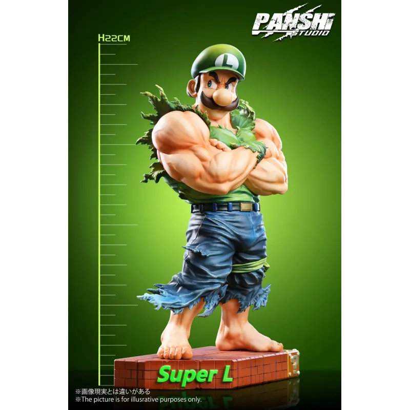 Super Mario Mario & Luigi Panshi Studio