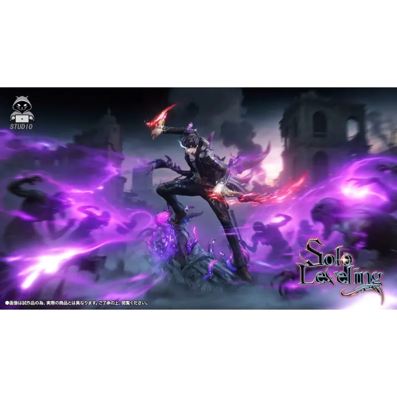 Solo Leveling Sung Jin Woo Black Panther Studio