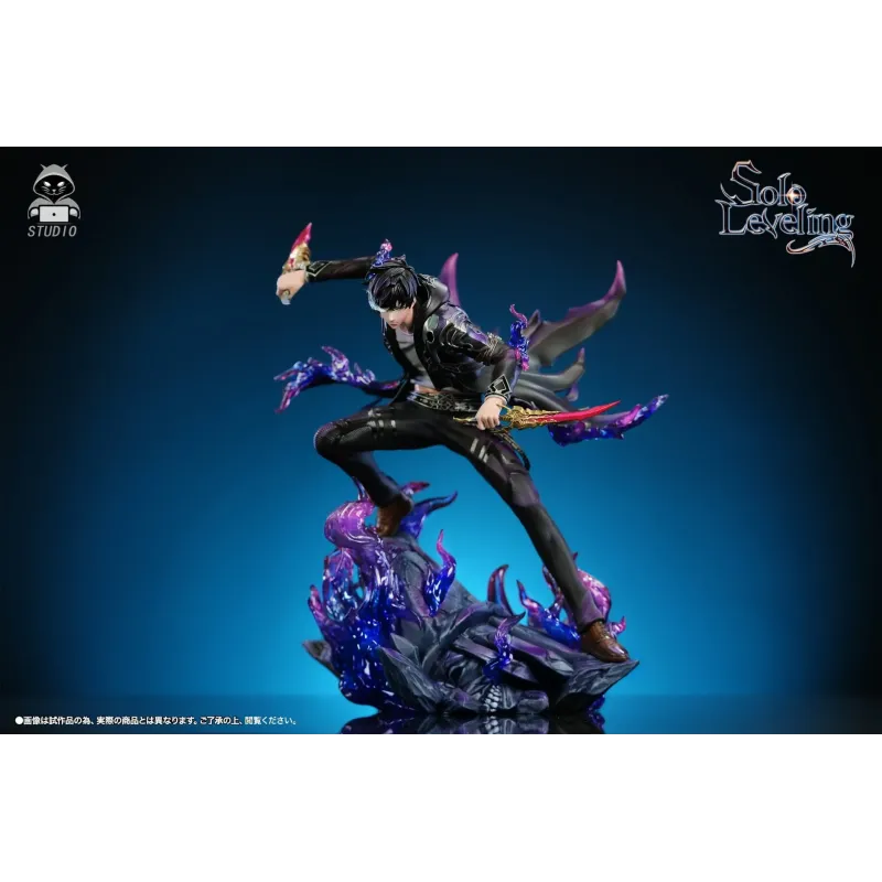 Solo Leveling Sung Jin Woo Black Panther Studio
