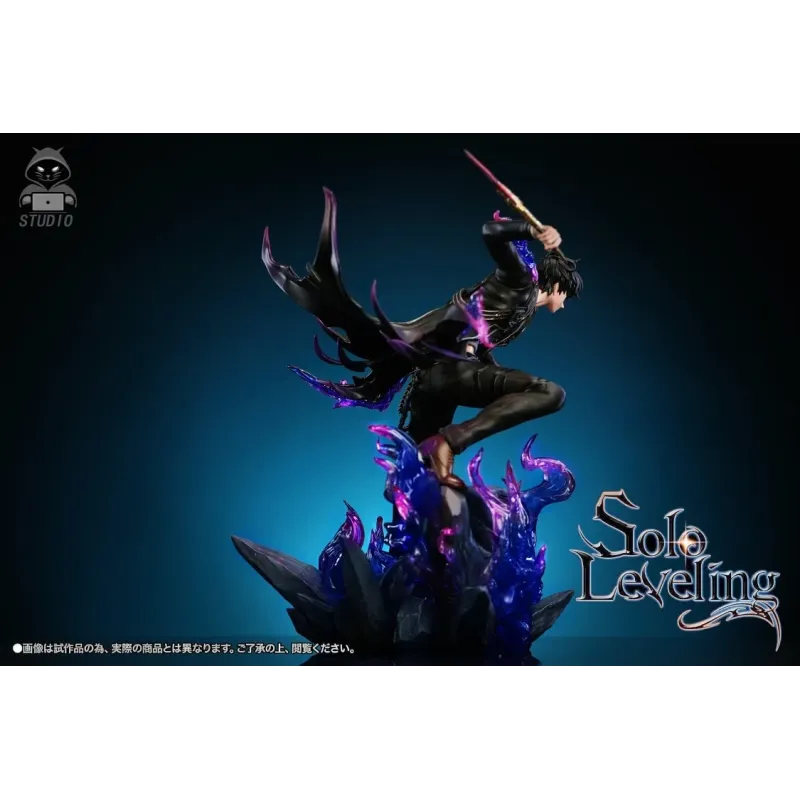 Solo Leveling Sung Jin Woo Black Panther Studio