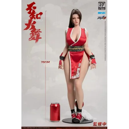 The King of Fighters Shiranui Mai C-BOX