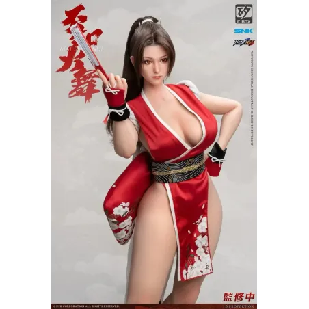 The King of Fighters Shiranui Mai C-BOX