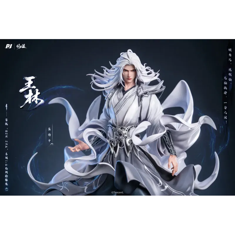 Renegade Immortal Animation Wang Lin PJ studio