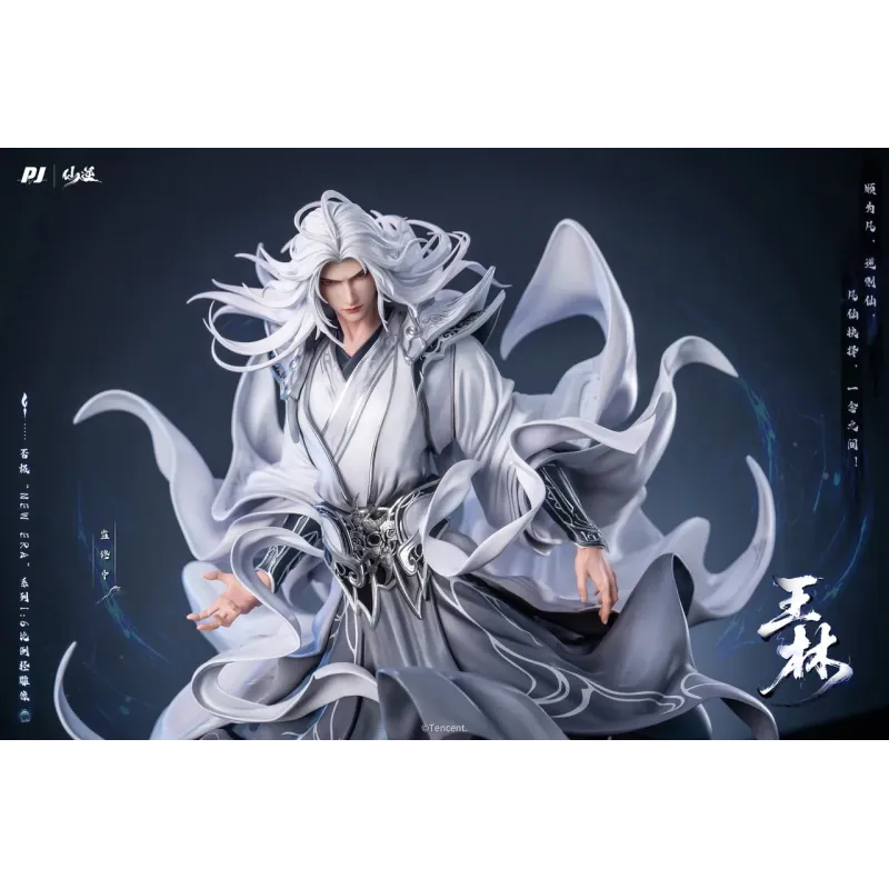 Renegade Immortal Animation Wang Lin PJ studio