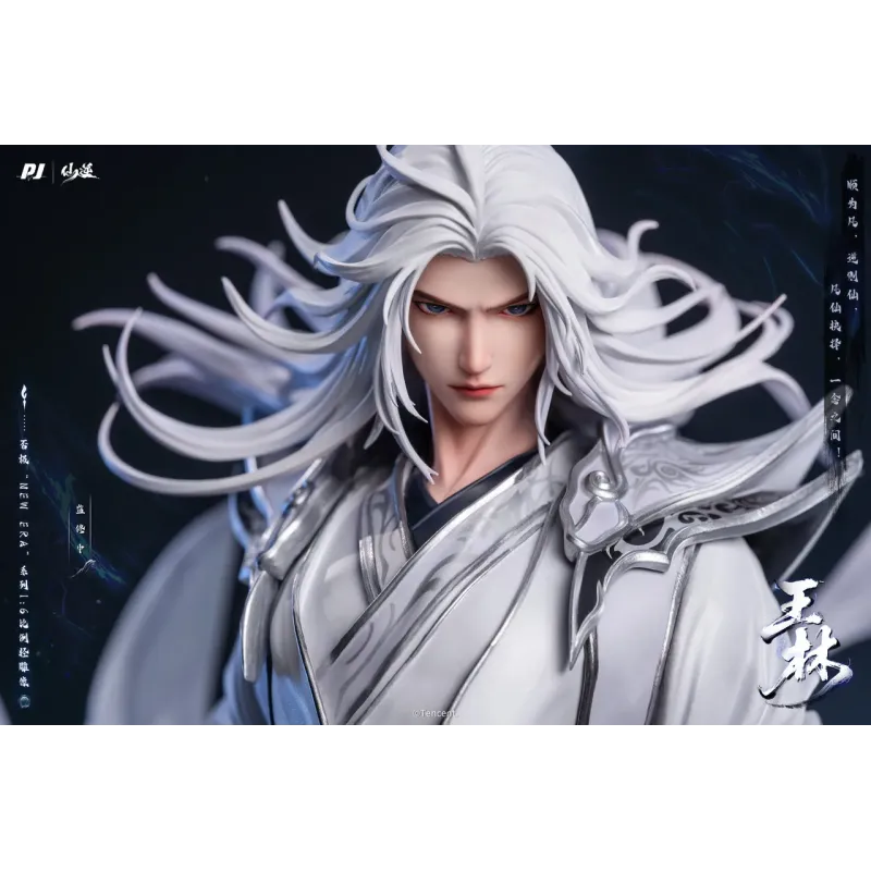 Renegade Immortal Animation Wang Lin PJ studio