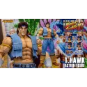 Street Fighter T.HAWK Storm Toys