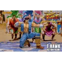 Street Fighter T.HAWK Storm Toys
